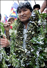 http://www.latinamericanstudies.org/bolivia/evo-coca.jpg