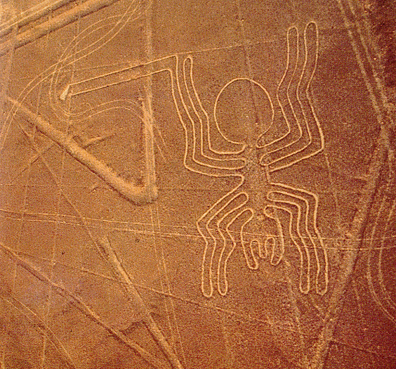 http://www.latinamericanstudies.org/nazca/nazca-lines1.gif