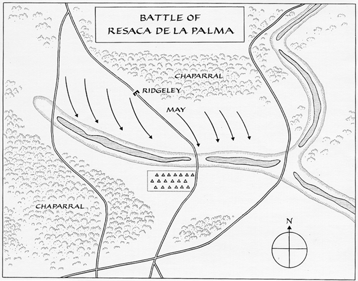 Battle of Resaca de la Palma