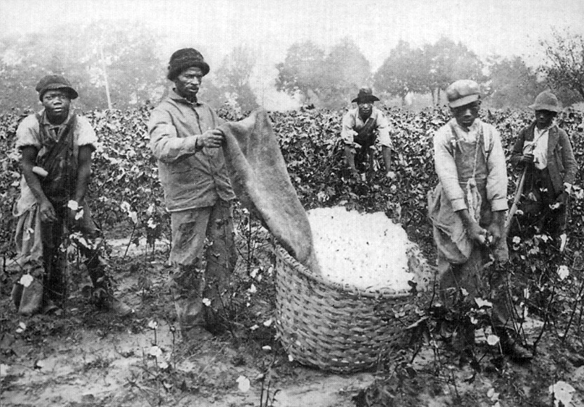 http://www.latinamericanstudies.org/slavery/cotton-pickers-1.jpg