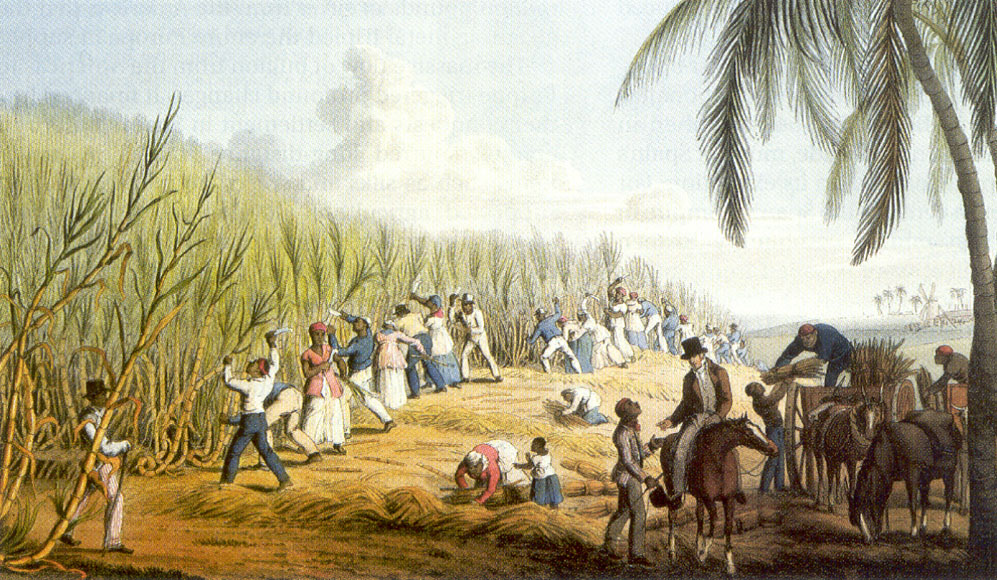 African Slavery In Latin America And The Caribbean 113